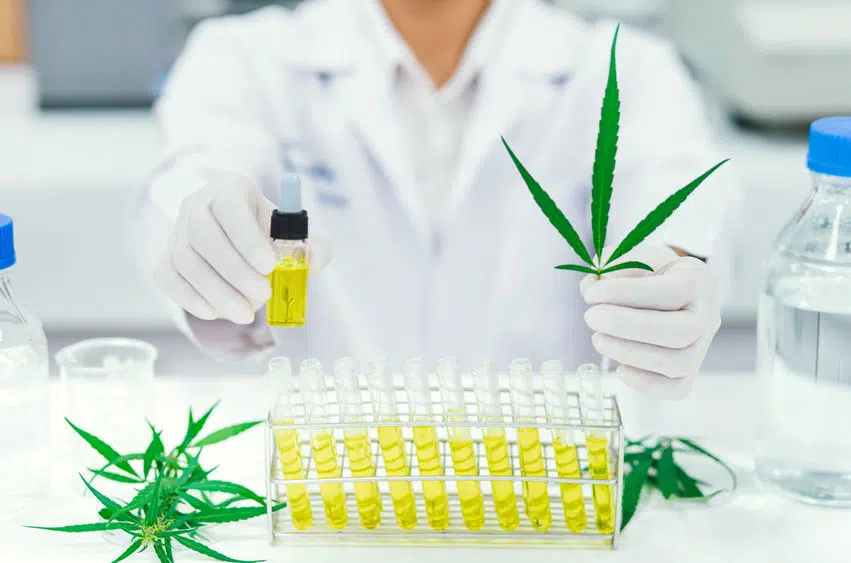 Législation sur le CBD en France avant 2022