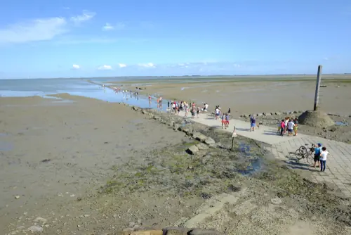 Vendée : Véhicule envasé sur le Gois avec trois personnes secourues